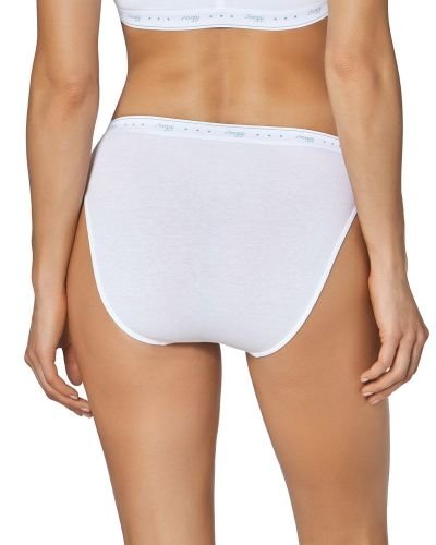 Κυλοτάκι – 24/7 100 Tai