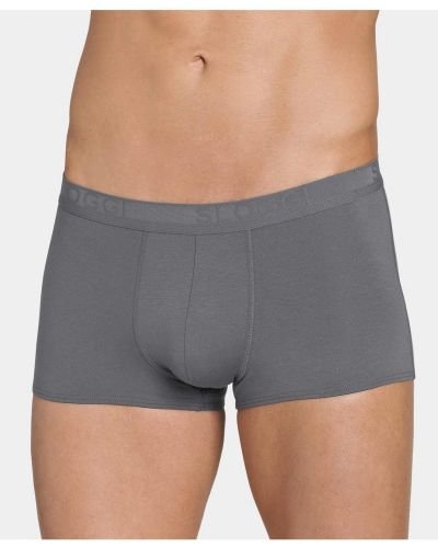 Boxer – Evernew H Hipster C2P