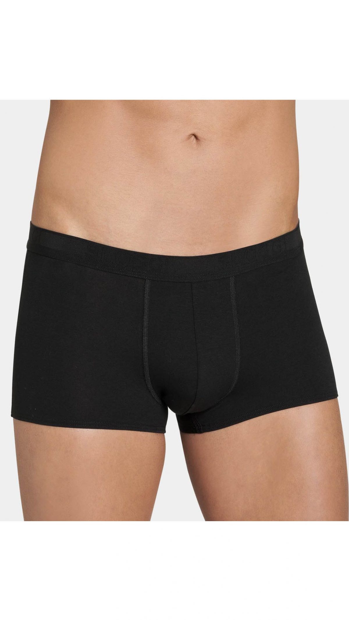 Boxer   – Evernew H Hipster C2P