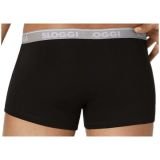 Boxer   – Go ABC H Hipster