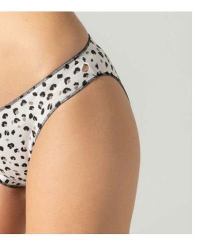 Κυλοτάκι-00003487