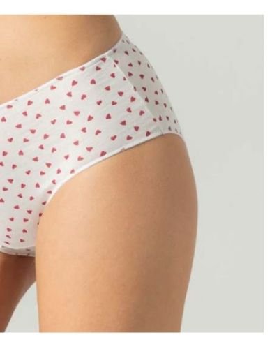 Κυλοτάκι-00003488