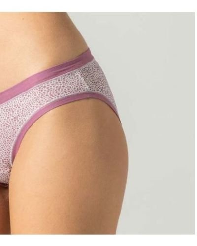 Κυλοτάκι-0003362Α