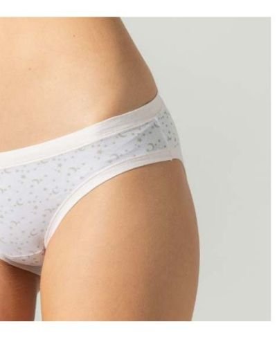 Κυλοτάκι-0003362Α