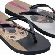 Σαγιονάρες-08025393