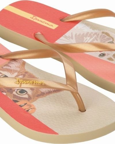 Σαγιονάρες-08025393