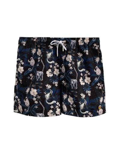 Βερμούδα-00009303