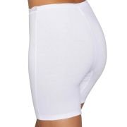 Κυλοτάκι-00019686