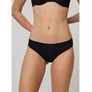 Κυλοτάκι-00019695