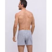 Boxer-00020406