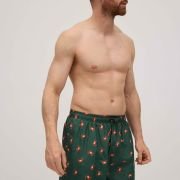 Βερμούδα-00090292