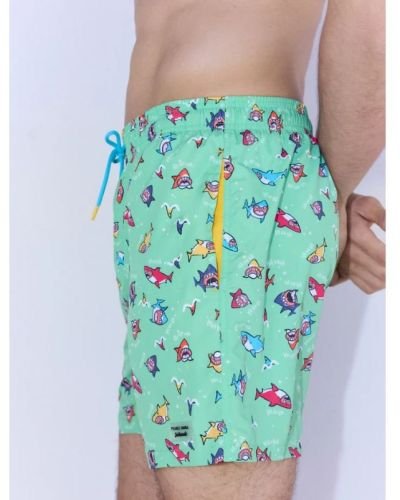 Βερμούδα-00090359