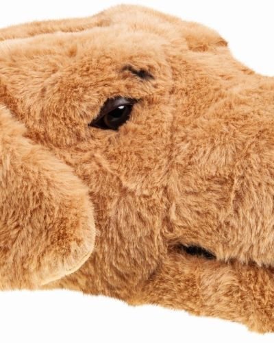 Ζωάκια-01425501