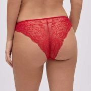 Κυλοτάκι-00010797