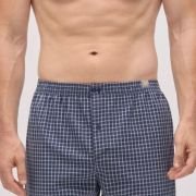 Boxer-00020429