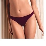 Κυλοτάκι-00002435